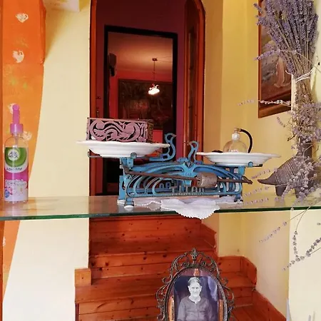 Apartman Branimir Zára