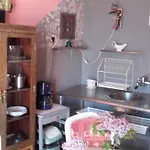 Apartman Branimir