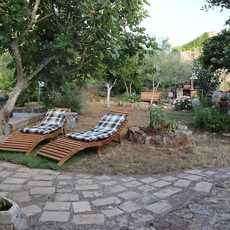 Apartment Branimir *