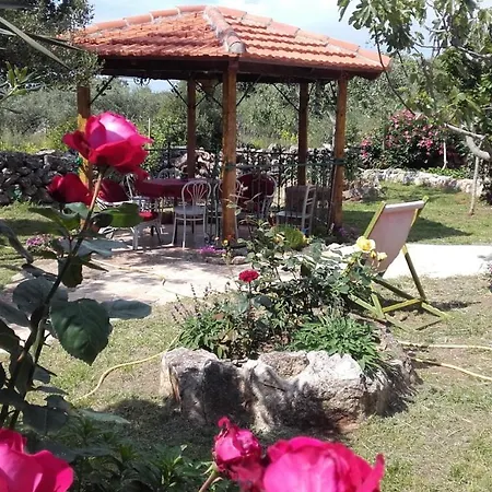 Apartment Branimir Zadar