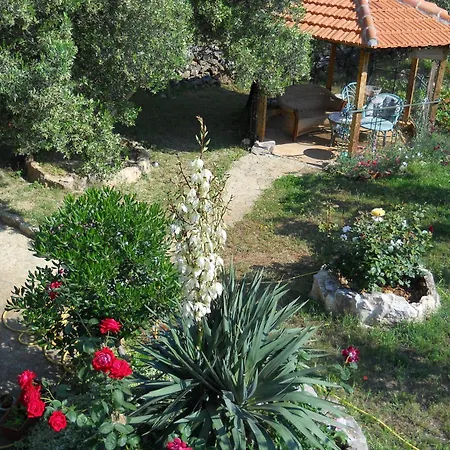 Lägenhet Branimir Zadar