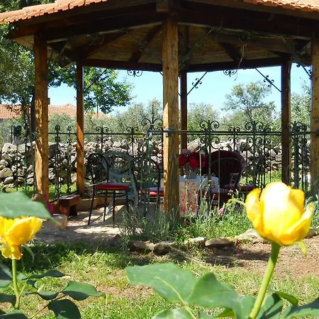 Apartment Branimir