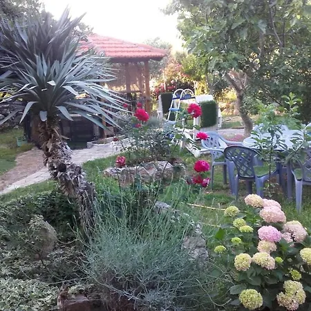 Branimir Apartment *